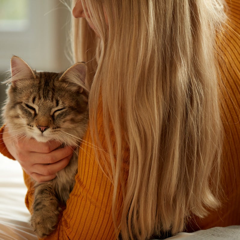 girl stroking cat