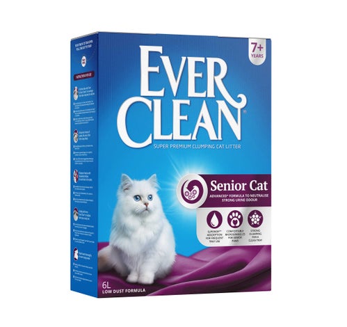 Senior Cat