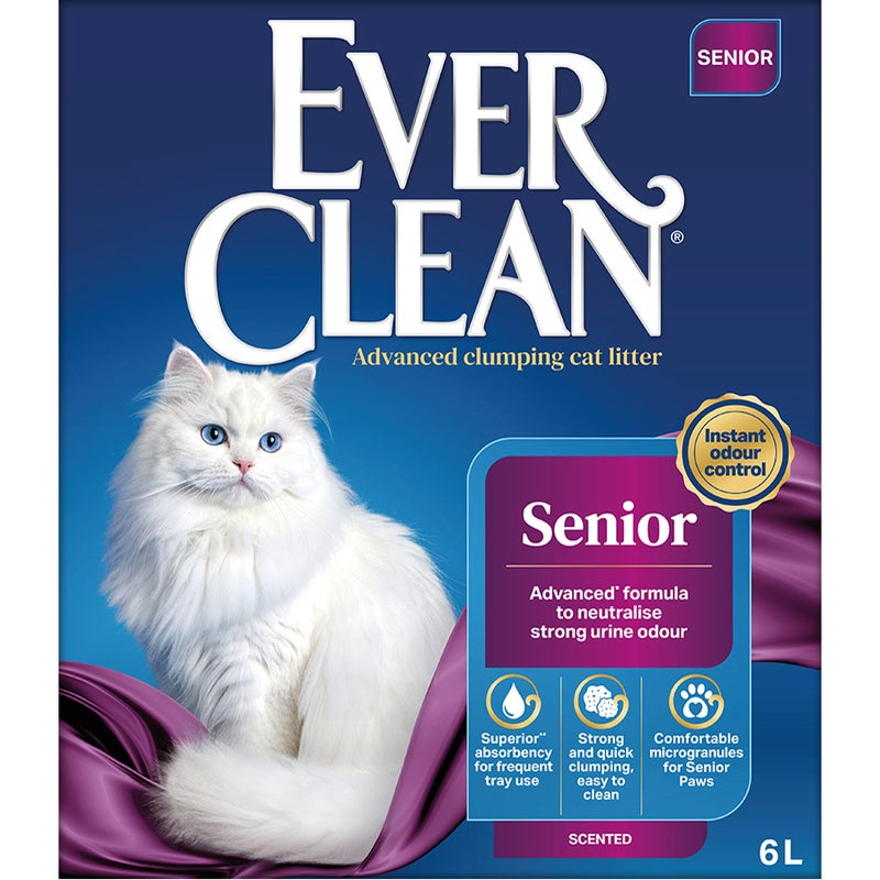 6L