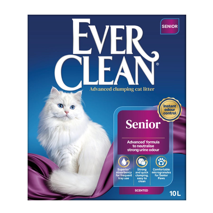 Senior Cat