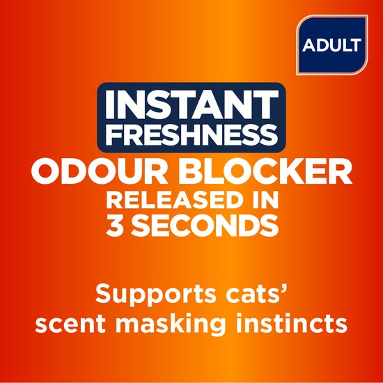 Instant Freshness Odour Blocker released in 3 seconds